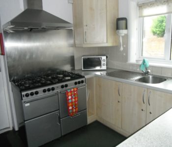 The large double cooker and microwave